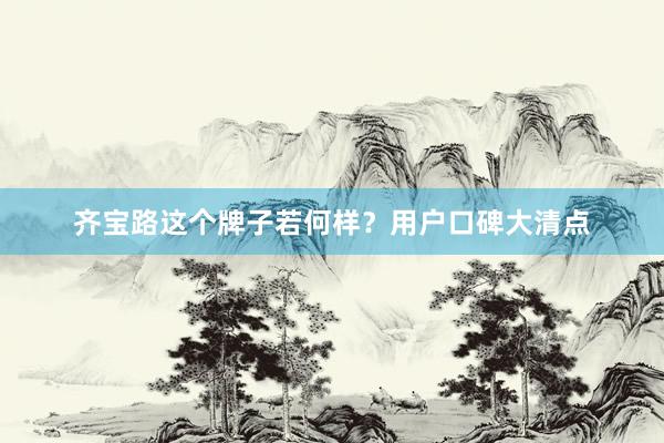 齐宝路这个牌子若何样？用户口碑大清点