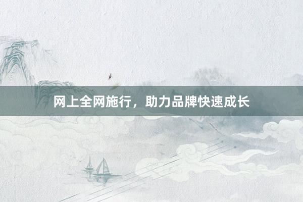 网上全网施行，助力品牌快速成长
