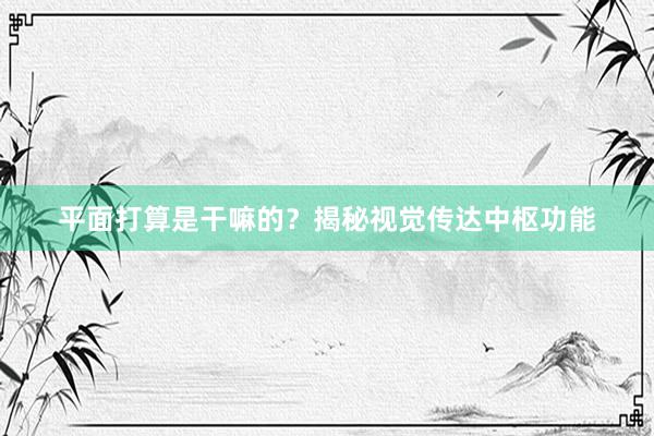 平面打算是干嘛的？揭秘视觉传达中枢功能